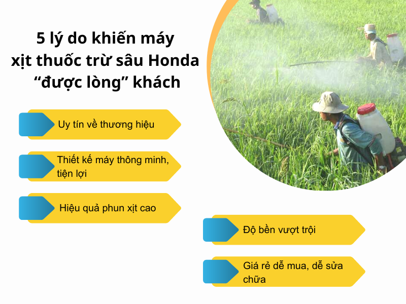 5 lý do khiến máy xịt thuốc trừ sâu Honda “được lòng” khách