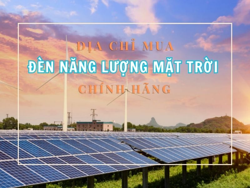 Cửa hàng bán đèn năng lượng mặt trời chính hãng giá tốt nhất