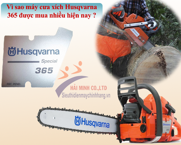 Vì sao máy cưa xích Husqvarna 365 được mua nhiều hiện nay?