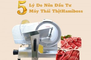 5 Lý do nên đầu tư máy thái thịt Hamiboss?