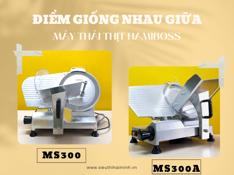 Diem-giong-nhau-giua-may-thai-thit-Hamiboss-MS300-va-MS300