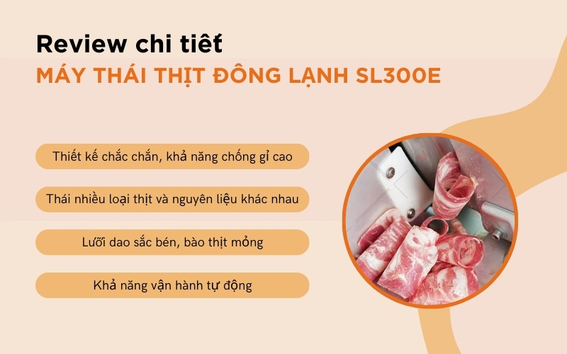 Review chi tiết máy thái thịt đông lạnh SL 300E