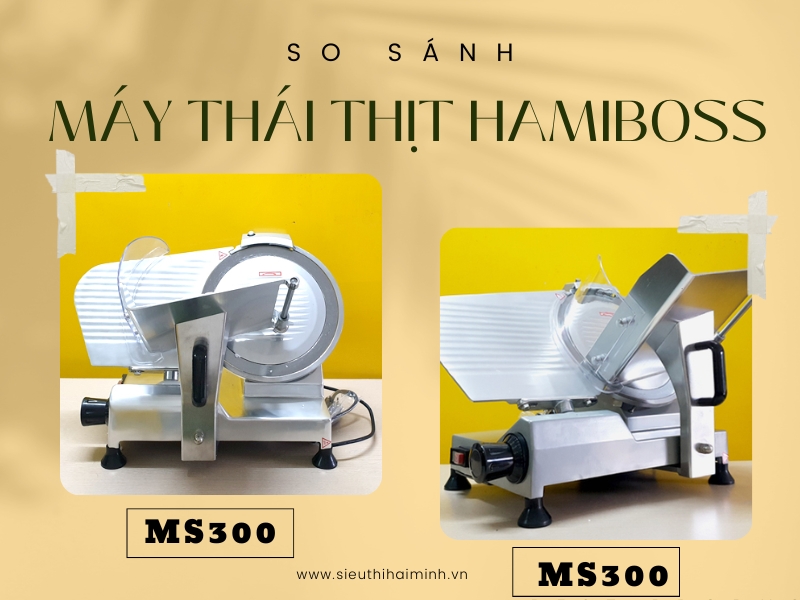 So-sanh-may-thai-thit-hamiboss-MS300-va-MS300A