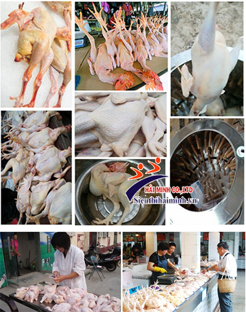 bạn nên mua máy vặt lông gà vịt tại Hải Minh