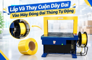 Lắp Và Thay Cuộn Dây Đai Vào Máy Đóng Đai Thùng Tự Động