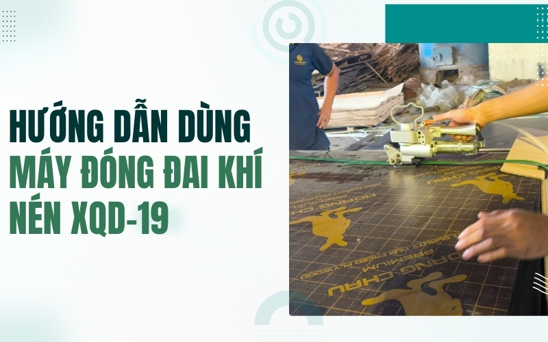 Hướng dẫn dùng máy đóng đai dùng khí nén XQD-19 chuẩn nhất