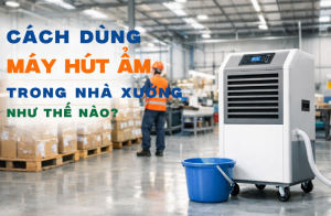 Cách Dùng Máy Hút Ẩm Trong Nhà Xưởng Như Thế Nào?