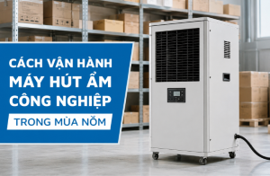Cách vận hành máy hút độ ẩm công nghiệp trong mùa nồm