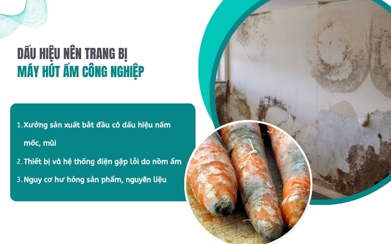Dấu hiệu nên trang bị máy hút ẩm công nghiệp