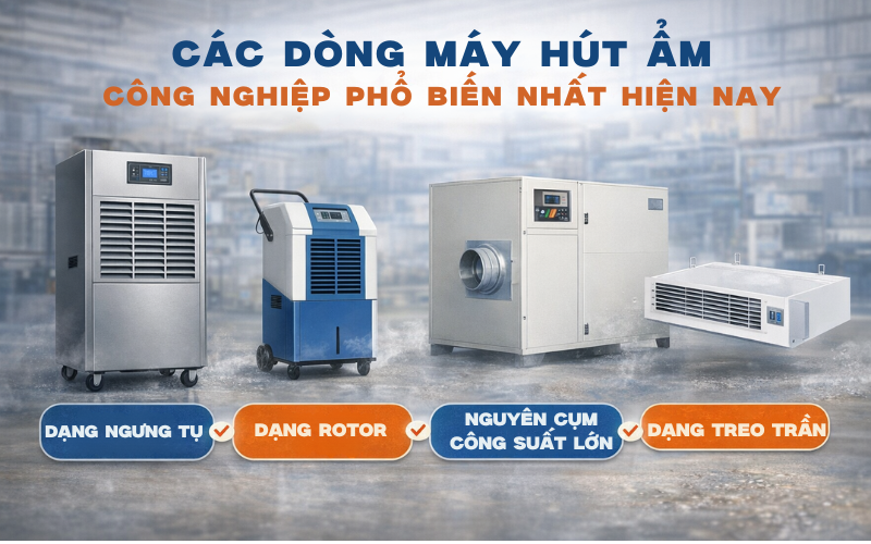 Các dòng máy hút ẩm công nghiệp phổ biến nhất hiện nay
