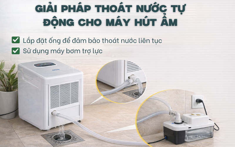 Giải pháp thoát nước tự động cho máy hút ẩm