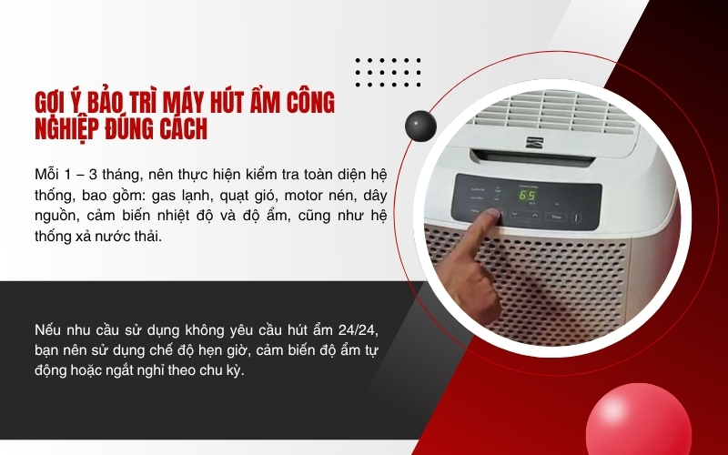Gợi ý bảo trì máy hút ẩm công nghiệp đúng cách