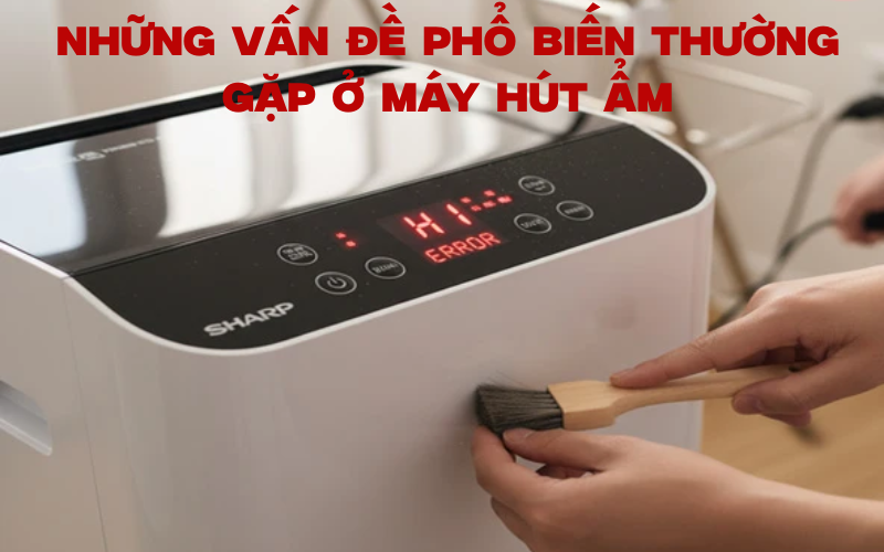 Những vấn đề phổ biến thường gặp ở máy hút ẩm