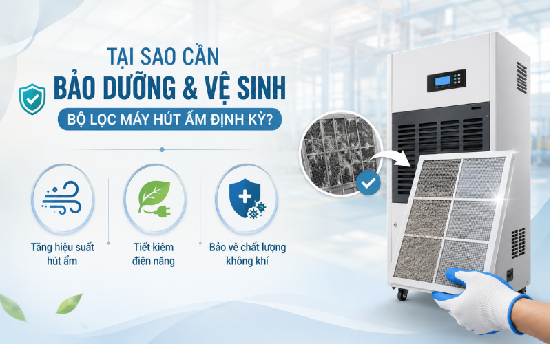 Tại sao cần bảo dưỡng và vệ sinh bộ lọc máy hút ẩm định kỳ