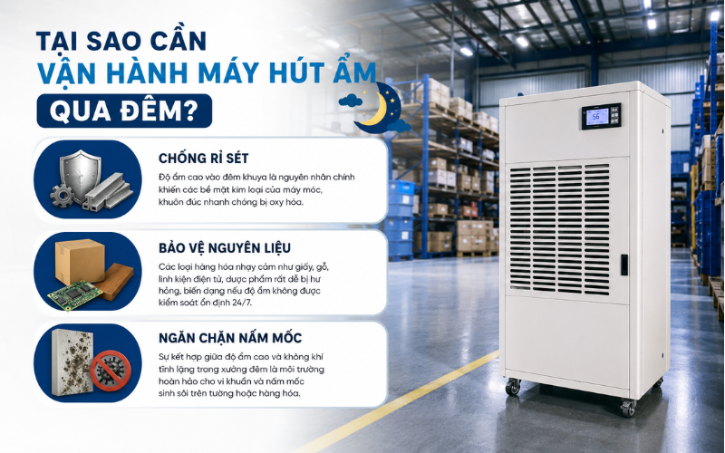 Tại sao cần vận hành máy hút ẩm qua đêm?