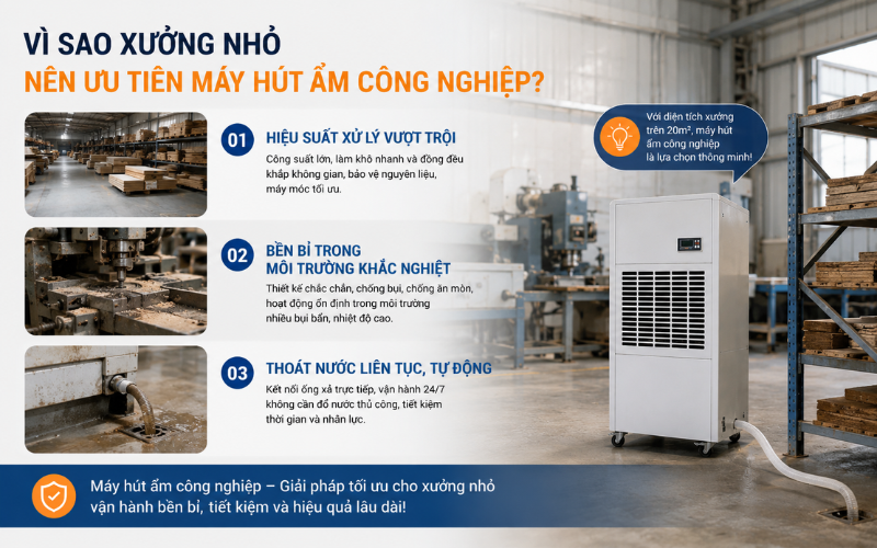 Vì sao xưởng nhỏ nên ưu tiên máy hút ẩm công nghiệp