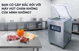 Bạn Có Gặp Rắc Rối Với Máy Hút Chân Không Của Mình Không?