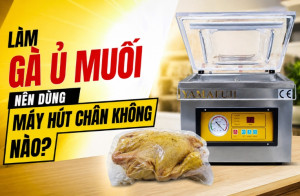 Làm gà ủ muối nên dùng máy hút chân không nào?