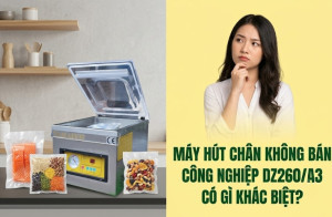 Máy hút chân không bán công nghiệp DZ260/A3 có gì khác biệt?
