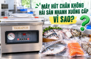 Máy hút chân không hải sản nhanh xuống cấp vì sao?
