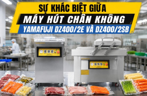 Sự khác biệt giữa máy hút chân không Yamafuji DZ400/2e và Dz400/2SB