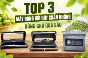 Top 3 máy đóng gói hút chân không dùng cho quả sấu
