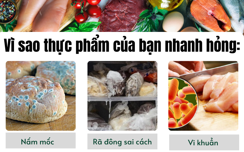 Bí quyết giữ đồ ăn tươi lâu mà ít ai nói cho bạn biết