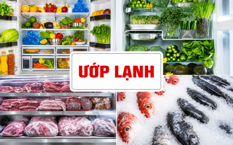Bảo quản lạnh 