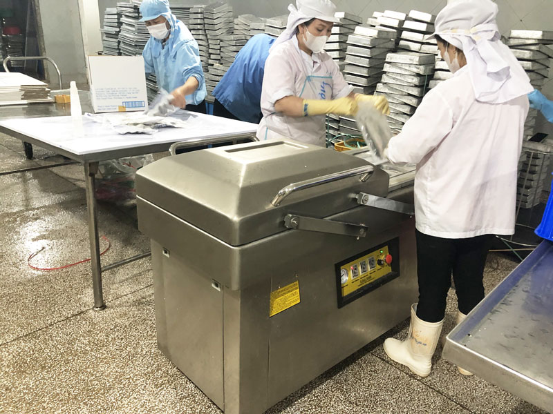 Máy hút chân không 2 buồng giúp gia tăng số lượng đóng gói 