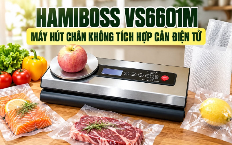 Hamiboss VS6601M (tự động)