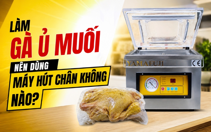 Làm gà ủ muối nên dùng máy hút chân không nào?