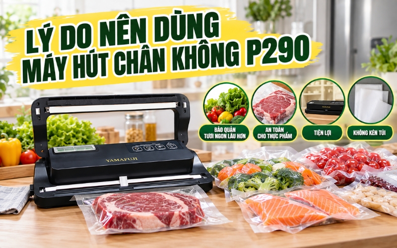 Lý do nên dùng máy hút chân không P290