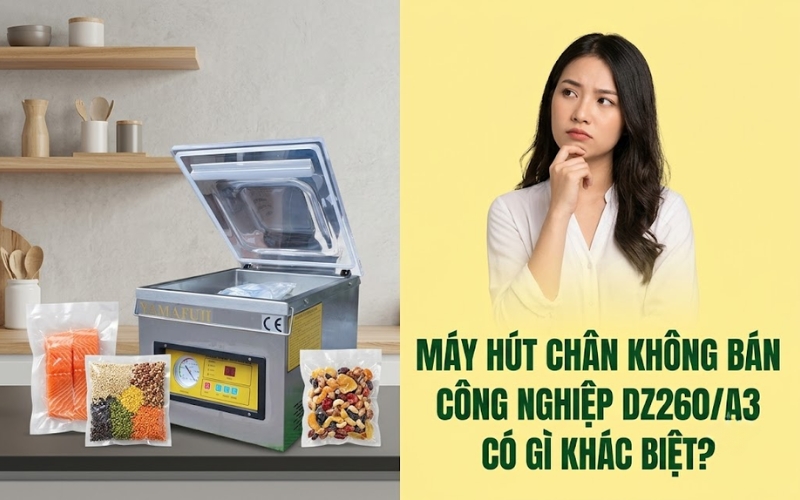 Máy hút chân không bán công nghiệp DZ260/A3 có gì khác biệt?