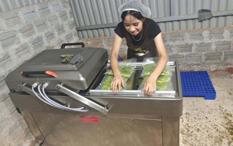 Máy hút chân không công nghiệp