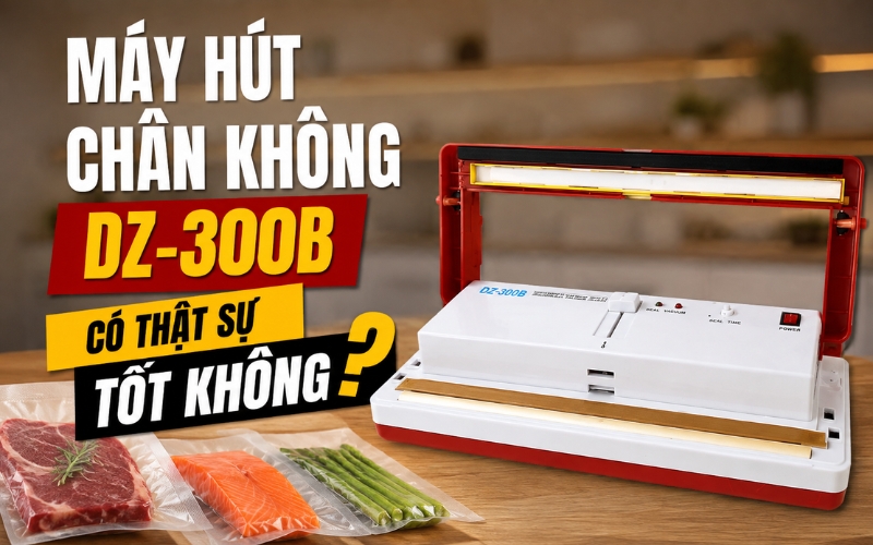 Máy hút chân không DZ-300B có thật sự tốt không?