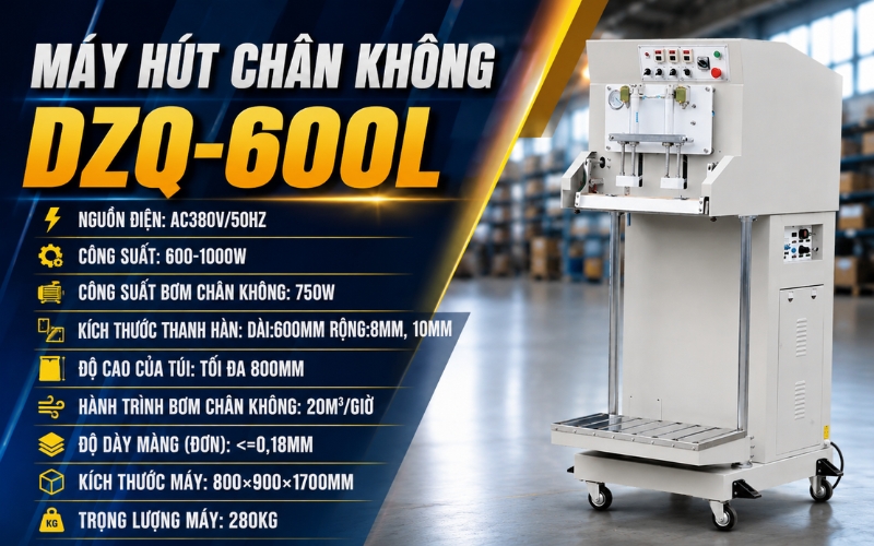 Tổng quan máy hút chân không DZQ-600L