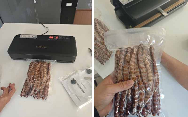 Máy hút chân không mini gia đình P350A 