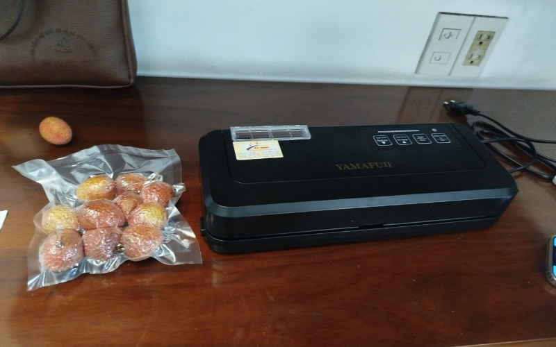 Máy hút chân không mini Yamafuji DZ-290A