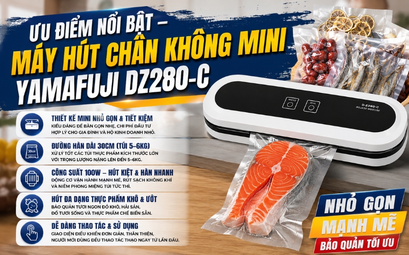 Máy hút chân không mini Yamafuji DZ280-C