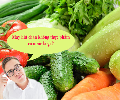 máy hút chân không thực phẩm có nước là gì máy hút chân không thực phẩm có nước là gì