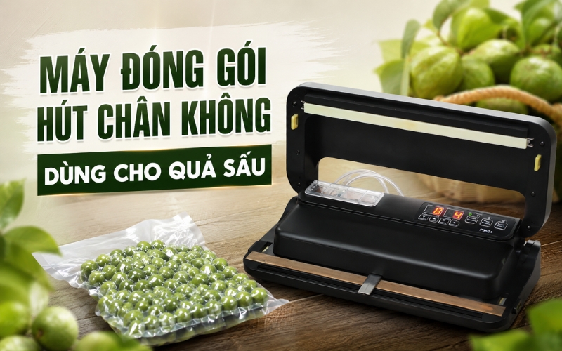 Máy hút chân không Yamafuji P350A