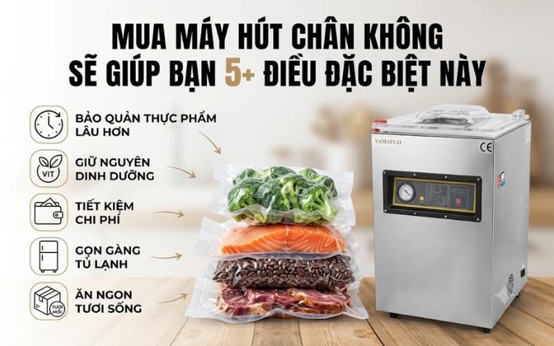 Mua Máy Hút Chân Không Sẽ Giúp Bạn 5+ Điều Đặc Biệt Này
