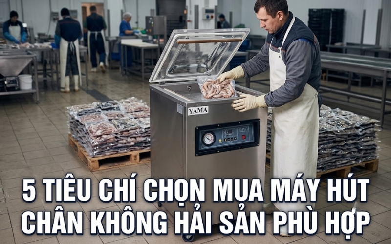 5 Tiêu Chí Chọn Mua Máy Hút Chân Không Hải Sản Phù Hợp