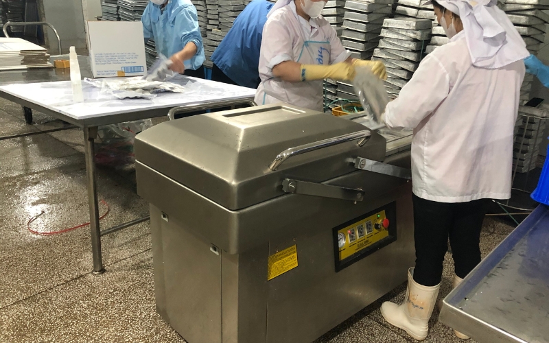 Tổng quan về máy hút chân không Yamafuji DZ-500/2SB
