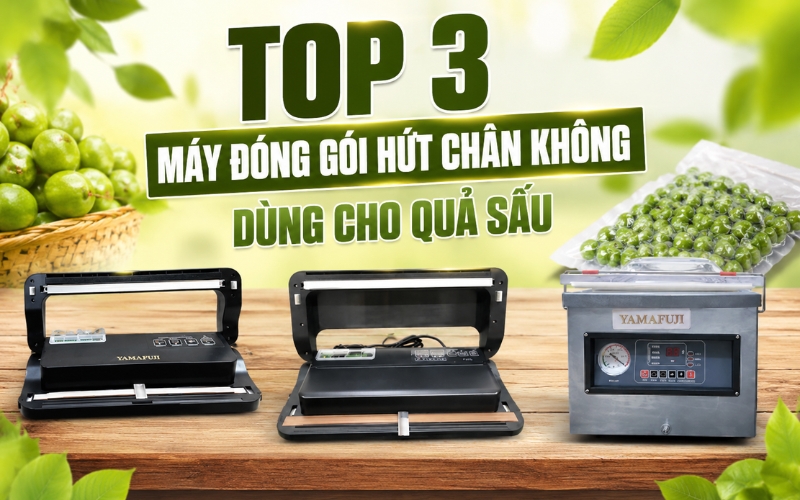 Máy đóng gói hút chân không dùng cho quả sấu
