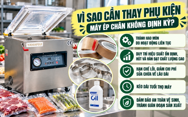 Vì sao cần thay phụ kiện máy ép chân không định kỳ?