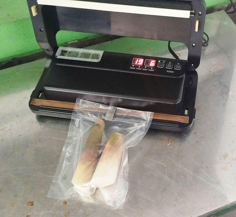 máy hút chân không mini được nhiều hộ gia đình lựa chọn 