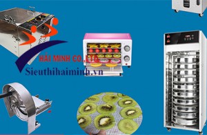 Giữ nguyên hương vị trái cây với máy sấy thực phẩm mua tại Hải Minh