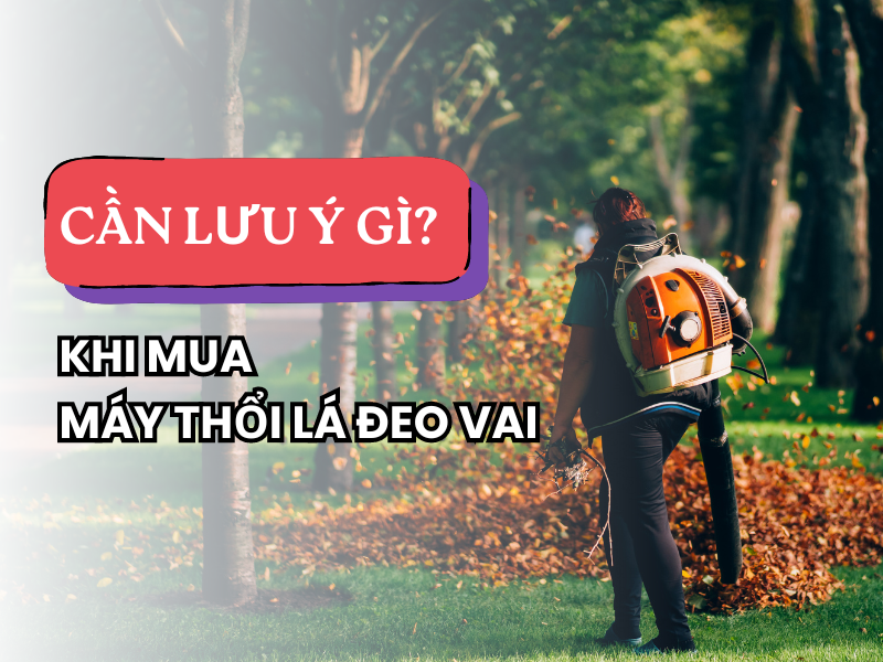 Những điều cần cân nhắc khi mua máy thổi lá đeo vai