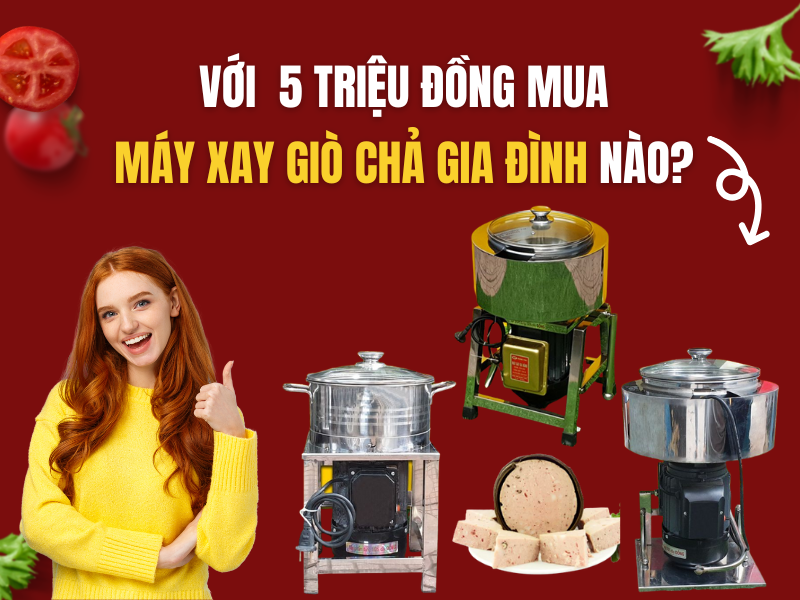 Với 5 Triệu Đồng Mua Máy Xay Giò Chả Gia Đình Nào